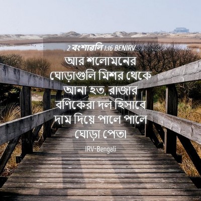Picture 04 - 2 বংশাৱলি 1:16 BENIRV - আর শলোমনের - Bible Verse Picture