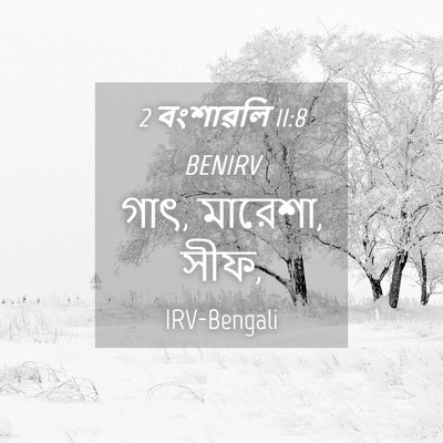 Picture 04 - 2 বংশাৱলি 11:8 BENIRV - গাৎ, মারেশা, - Bible Verse Picture