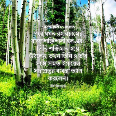 Picture 04 - 2 বংশাৱলি 12:1 BENIRV - পরে যখন - Bible Verse Picture