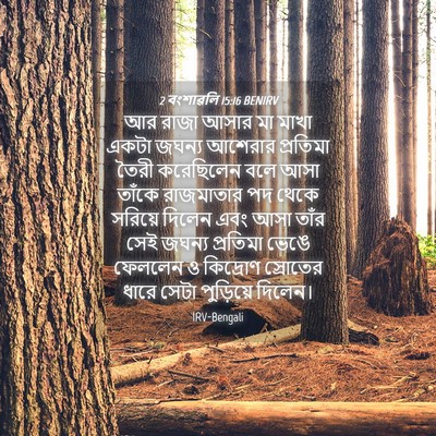 Picture 04 - 2 বংশাৱলি 15:16 BENIRV - আর রাজা আসার মা - Bible Verse Picture
