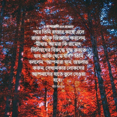 Picture 04 - 2 বংশাৱলি 18:14 BENIRV - পরে তিনি রাজার - Bible Verse Picture