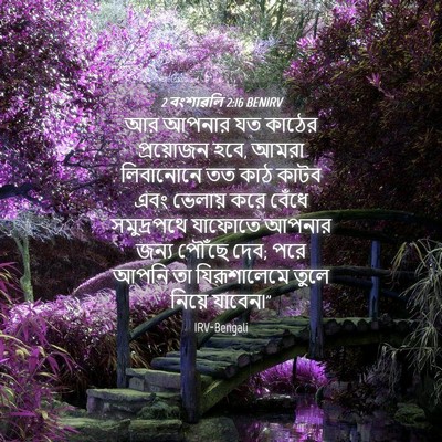 Picture 04 - 2 বংশাৱলি 2:16 BENIRV - আর আপনার যত কাঠের - Bible Verse Picture