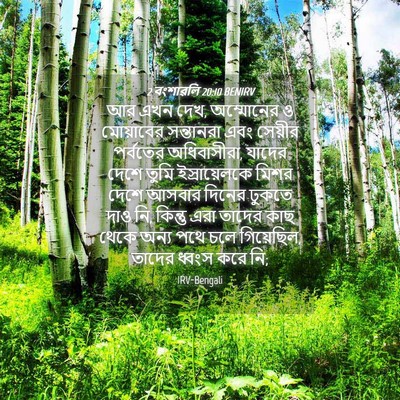 Picture 04 - 2 বংশাৱলি 20:10 BENIRV - আর এখন দেখ, - Bible Verse Picture