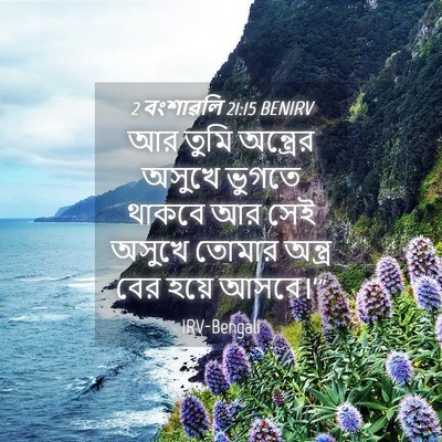 Picture 04 - 2 বংশাৱলি 21:15 BENIRV - আর তুমি অন্ত্রের - Bible Verse Picture