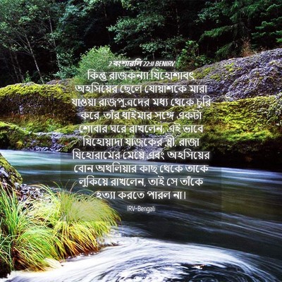 Picture 04 - 2 বংশাৱলি 22:11 BENIRV - কিন্তু রাজকন্যা - Bible Verse Picture