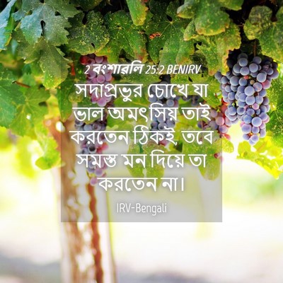 Picture 04 - 2 বংশাৱলি 25:2 BENIRV - সদাপ্রভুর চোখে যা - Bible Verse Picture