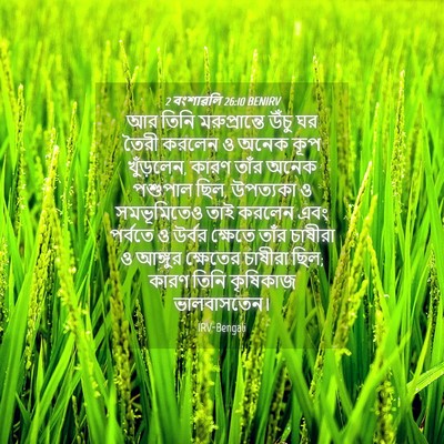 Picture 04 - 2 বংশাৱলি 26:10 BENIRV - আর তিনি - Bible Verse Picture