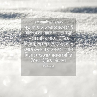 Picture 04 - 2 বংশাৱলি 29:22 BENIRV - সুতরাং যাজকেরা - Bible Verse Picture
