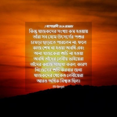Picture 04 - 2 বংশাৱলি 29:34 BENIRV - কিন্তু যাজকদের - Bible Verse Picture