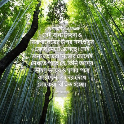 Picture 04 - 2 বংশাৱলি 29:8 BENIRV - সেই জন্য যিহূদা ও - Bible Verse Picture