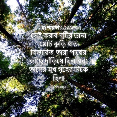 Picture 04 - 2 বংশাৱলি 3:13 BENIRV - সেই করূব দুটির - Bible Verse Picture