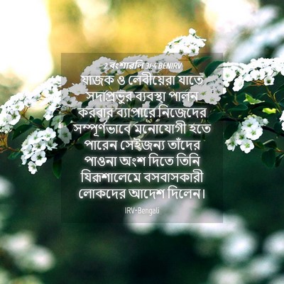 Picture 04 - 2 বংশাৱলি 31:4 BENIRV - যাজক ও লেবীয়েরা - Bible Verse Picture
