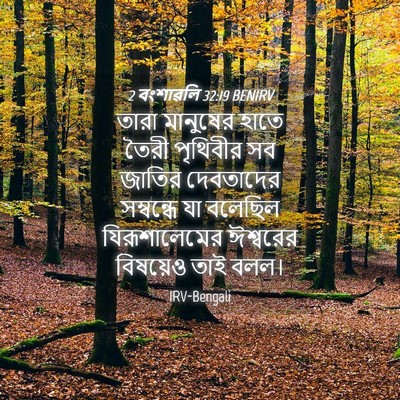 Picture 04 - 2 বংশাৱলি 32:19 BENIRV - তারা মানুষের হাতে - Bible Verse Picture