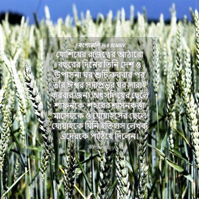 Picture 04 - 2 বংশাৱলি 34:8 BENIRV - যোশিয়ের রাজত্বের - Bible Verse Picture