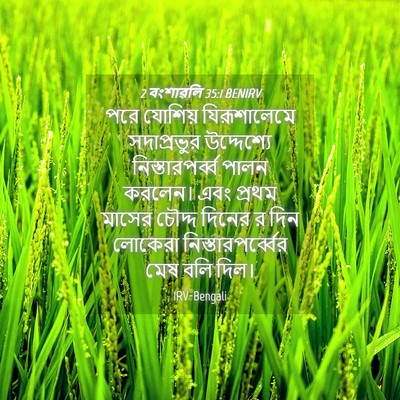 Picture 04 - 2 বংশাৱলি 35:1 BENIRV - পরে যোশিয় - Bible Verse Picture