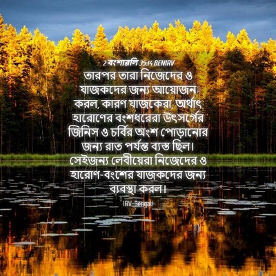 Picture 04 - 2 বংশাৱলি 35:14 BENIRV - তারপর তারা - Bible Verse Picture