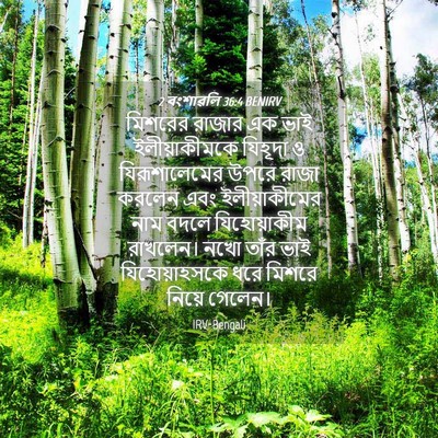 Picture 04 - 2 বংশাৱলি 36:4 BENIRV - মিশরের রাজার এক - Bible Verse Picture
