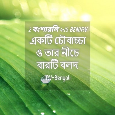 Picture 04 - 2 বংশাৱলি 4:15 BENIRV - একটি চৌবাচ্চা ও - Bible Verse Picture