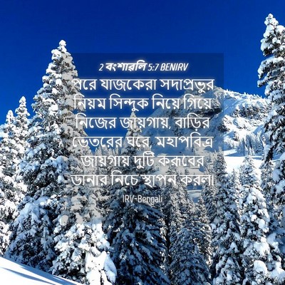 Picture 04 - 2 বংশাৱলি 5:7 BENIRV - পরে যাজকেরা - Bible Verse Picture