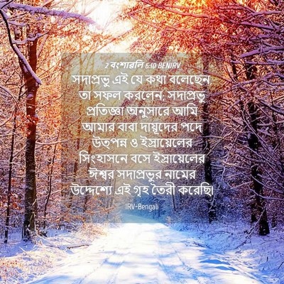 Picture 04 - 2 বংশাৱলি 6:10 BENIRV - সদাপ্রভু এই যে কথা - Bible Verse Picture