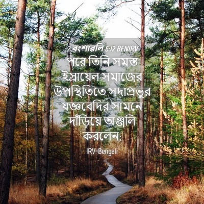 Picture 04 - 2 বংশাৱলি 6:12 BENIRV - পরে তিনি সমস্ত - Bible Verse Picture