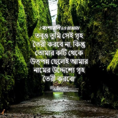 Picture 04 - 2 বংশাৱলি 6:9 BENIRV - তবুও তুমি সেই গৃহ - Bible Verse Picture
