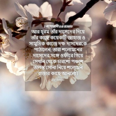 Picture 04 - 2 বংশাৱলি 8:18 BENIRV - আর হূরম তাঁর - Bible Verse Picture