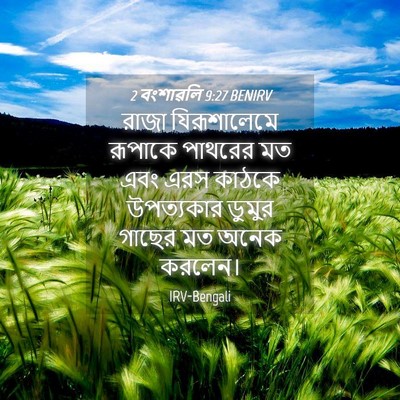 Picture 04 - 2 বংশাৱলি 9:27 BENIRV - রাজা যিরূশালেমে - Bible Verse Picture