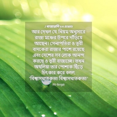 Picture 04 - 2 ৰাজাৱলি 11:14 BENIRV - আর দেখল যে, নিয়ম - Bible Verse Picture
