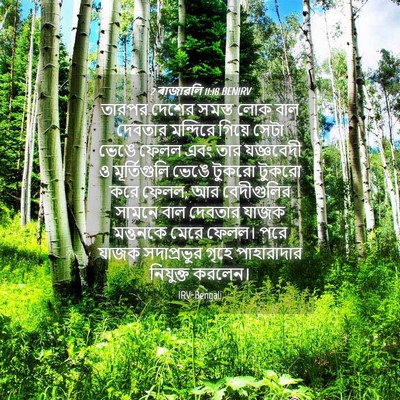 Picture 04 - 2 ৰাজাৱলি 11:18 BENIRV - তারপর দেশের সমস্ত - Bible Verse Picture