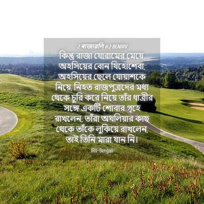 Picture 04 - 2 ৰাজাৱলি 11:2 BENIRV - কিন্তু রাজা - Bible Verse Picture