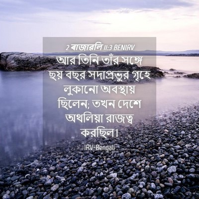 Picture 04 - 2 ৰাজাৱলি 11:3 BENIRV - আর তিনি তাঁর সঙ্গে - Bible Verse Picture