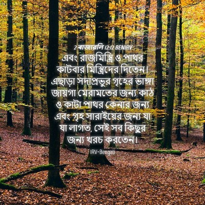 Picture 04 - 2 ৰাজাৱলি 12:12 BENIRV - এবং রাজমিস্ত্রি ও - Bible Verse Picture
