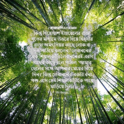 Picture 04 - 2 ৰাজাৱলি 14:9 BENIRV - কিন্তু যিহোয়াশ - Bible Verse Picture