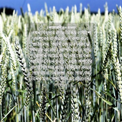 Picture 04 - 2 ৰাজাৱলি 18:14 BENIRV - তখন যিহূদার রাজা - Bible Verse Picture