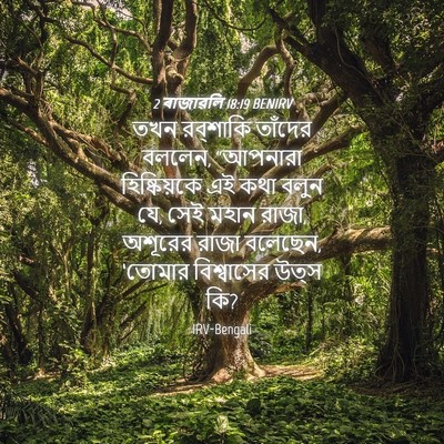 Picture 04 - 2 ৰাজাৱলি 18:19 BENIRV - তখন রব্‌শাকি - Bible Verse Picture