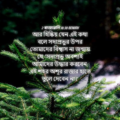 Picture 04 - 2 ৰাজাৱলি 18:30 BENIRV - আর হিষ্কিয় যেন এই - Bible Verse Picture