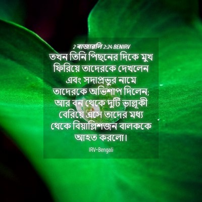 Picture 04 - 2 ৰাজাৱলি 2:24 BENIRV - তখন তিনি পিছনের - Bible Verse Picture