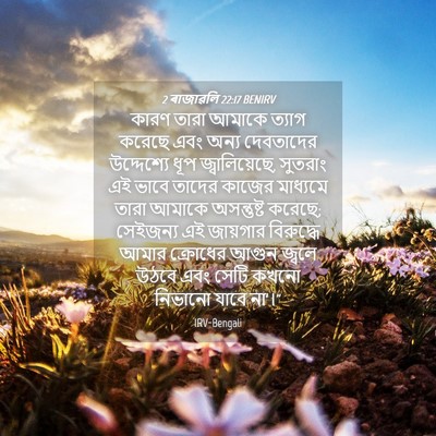 Picture 04 - 2 ৰাজাৱলি 22:17 BENIRV - কারণ তারা আমাকে - Bible Verse Picture