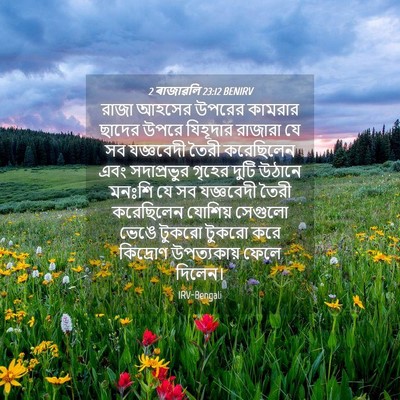 Picture 04 - 2 ৰাজাৱলি 23:12 BENIRV - রাজা আহসের উপরের - Bible Verse Picture