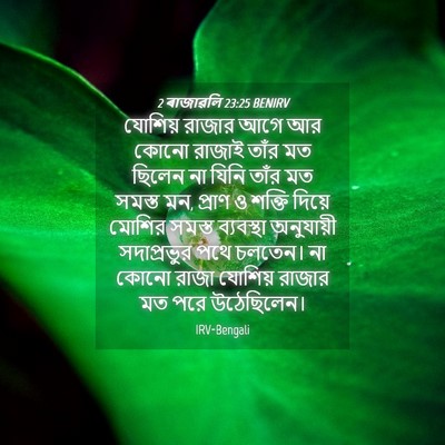 Picture 04 - 2 ৰাজাৱলি 23:25 BENIRV - যোশিয় রাজার আগে - Bible Verse Picture
