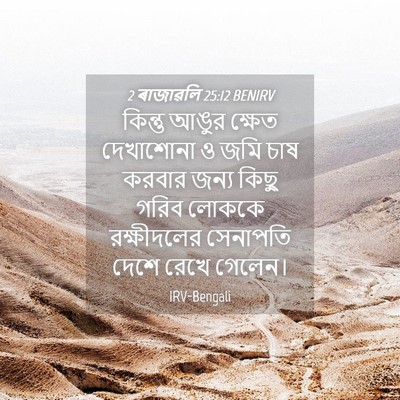Picture 04 - 2 ৰাজাৱলি 25:12 BENIRV - কিন্তু আঙুর ক্ষেত - Bible Verse Picture