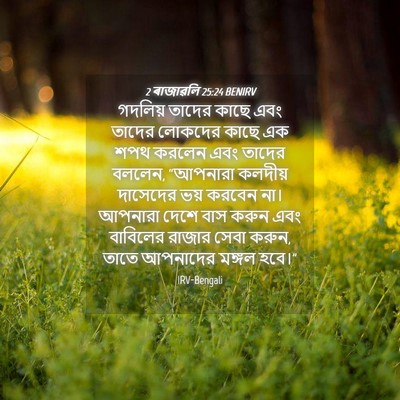 Picture 04 - 2 ৰাজাৱলি 25:24 BENIRV - গদলিয় তাদের কাছে - Bible Verse Picture