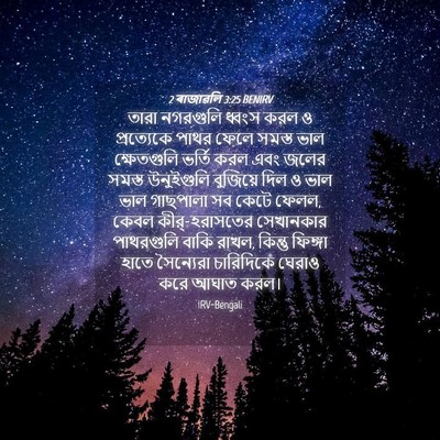 Picture 04 - 2 ৰাজাৱলি 3:25 BENIRV - তারা নগরগুলি - Bible Verse Picture