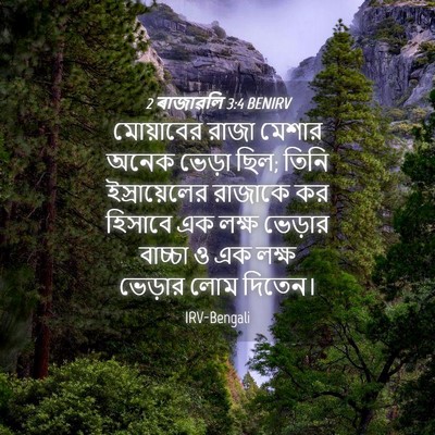 Picture 04 - 2 ৰাজাৱলি 3:4 BENIRV - মোয়াবের রাজা - Bible Verse Picture