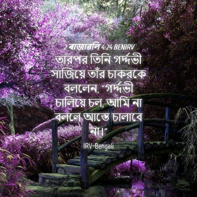 Picture 04 - 2 ৰাজাৱলি 4:24 BENIRV - তারপর তিনি - Bible Verse Picture