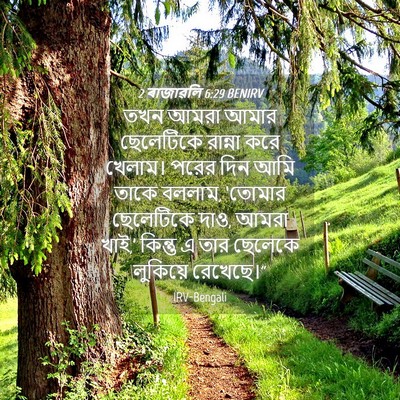 Picture 04 - 2 ৰাজাৱলি 6:29 BENIRV - তখন আমরা আমার - Bible Verse Picture