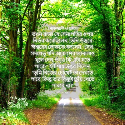 Picture 04 - 2 ৰাজাৱলি 7:2 BENIRV - তখন রাজা যে - Bible Verse Picture