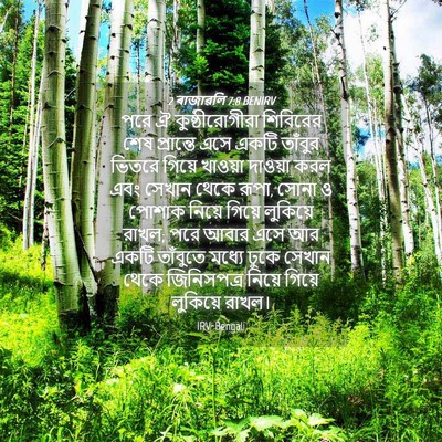 Picture 04 - 2 ৰাজাৱলি 7:8 BENIRV - পরে ঐ - Bible Verse Picture