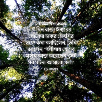Picture 04 - 2 ৰাজাৱলি 8:4 BENIRV - ঐ দিন রাজা ঈশ্বরের - Bible Verse Picture